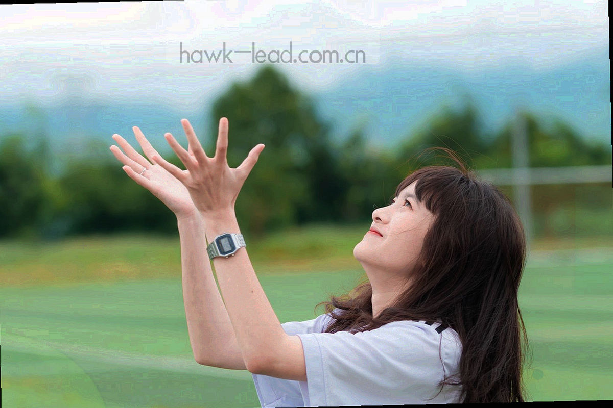 折页档案卡与分类标签平铺在深褐桌面上，边角带硬阴影